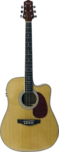 GUITARE FOLK // FOLK GUITAR